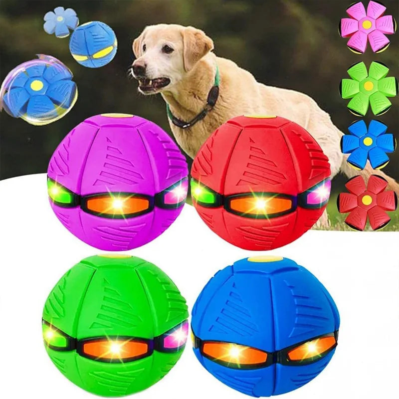 Super UFO Ball, diversão para crianças, animais e muito mais.